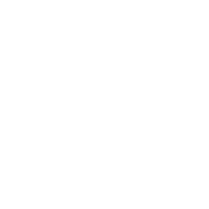 Sandy Hook Promise logo