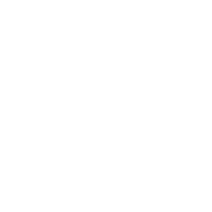 National Organization on Disability logo