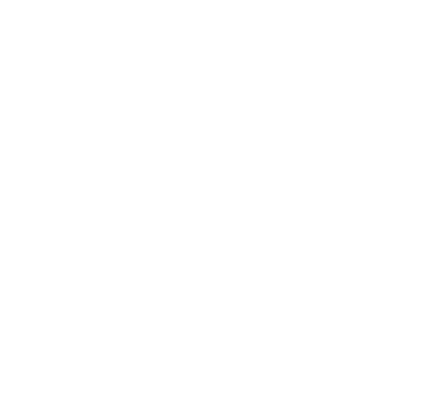 International Monetary Fund (IMF) logo