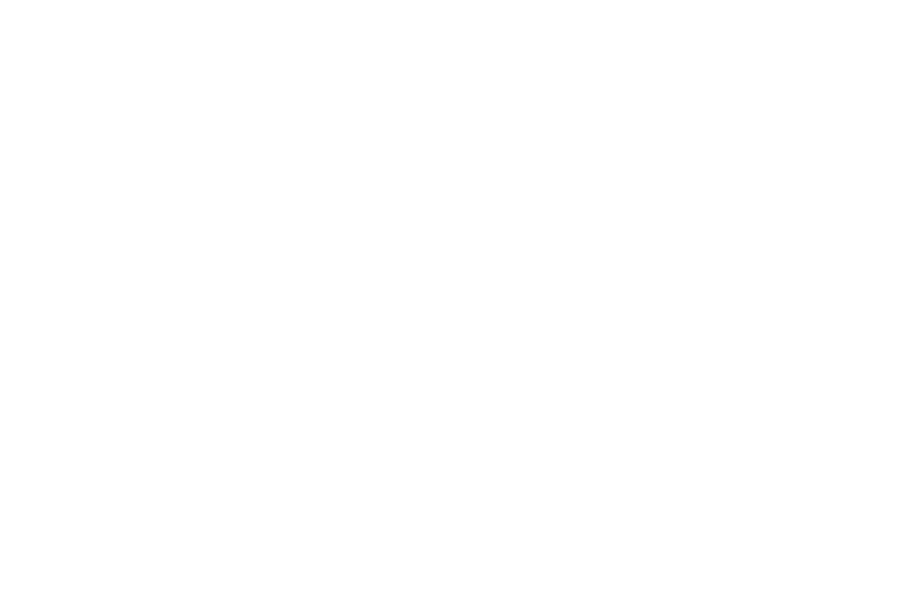 Constellation Brands logo