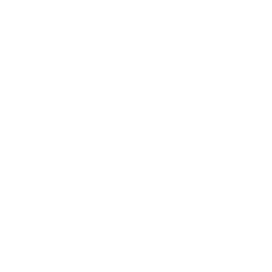 Pennsylvania Department of Drug and Alcohol Programs Logo White