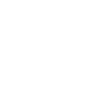 APL Logo White