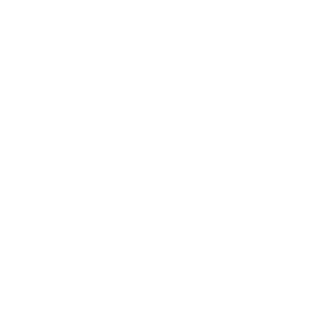 Mandated Reporter Academy