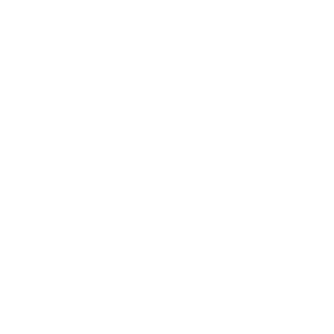 Pacle Logo