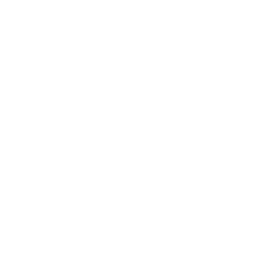 Pacle Logo