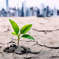 Plant growing with city in background