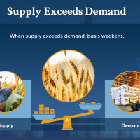 StoneX eLearning Image of Supply and Demand