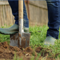 Close up of boot on shovel in ground