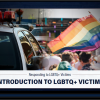 d'Vinci and PA Chiefs of Police support LGBTQ+ community with new course to identify victims and how to respond.  