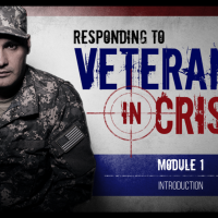 Screenshot of the Veterans in Crisis course