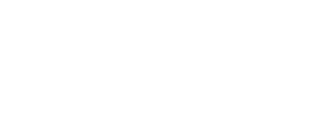 Driving Dynamics logo