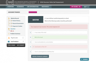 Screenshot of the Decision Skills Self Assessment project on a smart tablet