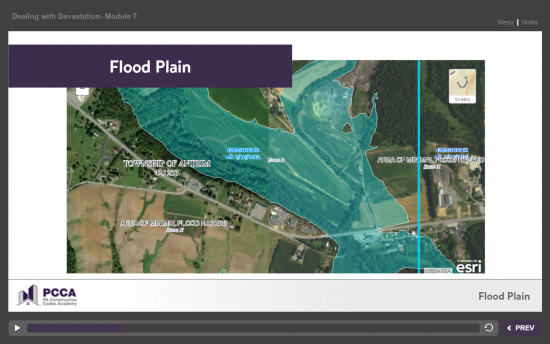 Screenshot of the Dealing with Devastation project on a laptop computer
