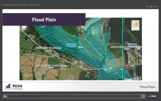 Screenshot of the Dealing with Devastation  project on a laptop computer