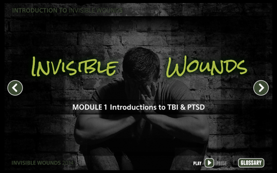 Screenshot of the Invisible Wounds project on a laptop computer