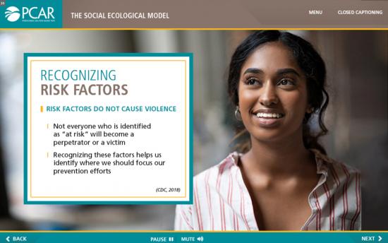 Screenshot of the Rape Prevention and Education  project on a laptop computer