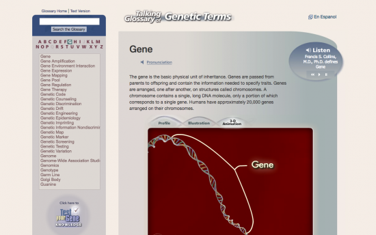 Screenshot of the Talking Glossary of Genetic Terms project on a laptop computer