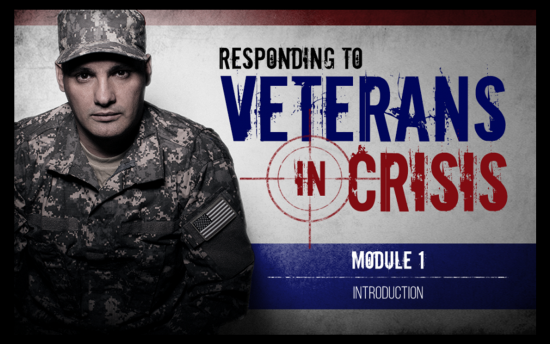 Screenshot of the Responding to Veterans in Crisis project on a laptop computer