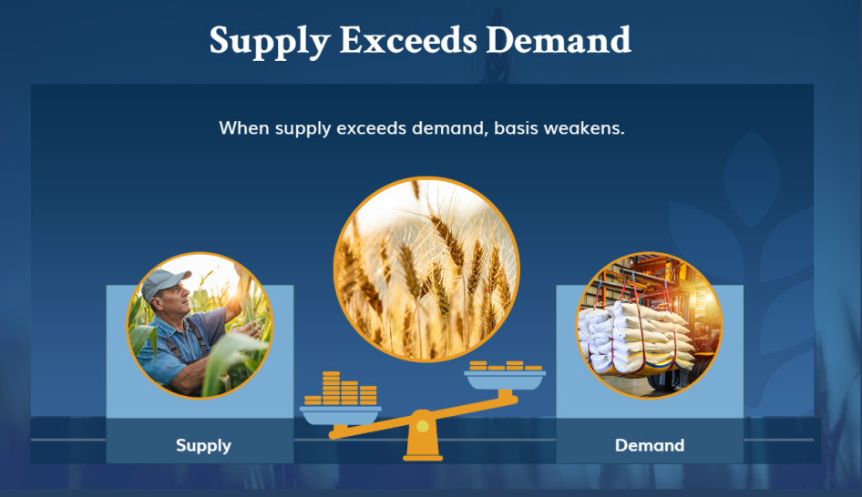 StoneX eLearning Image of Supply and Demand