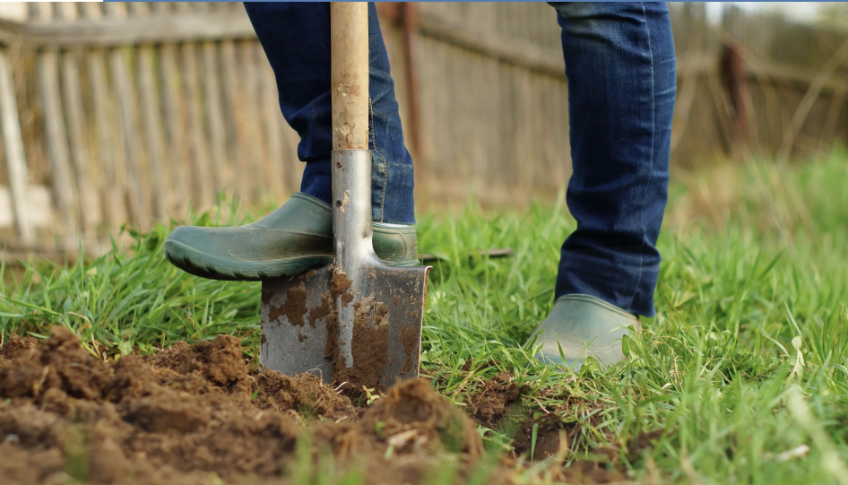 Close up of boot on shovel in ground